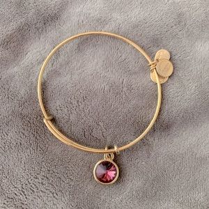 Alex and Ani February birthstone